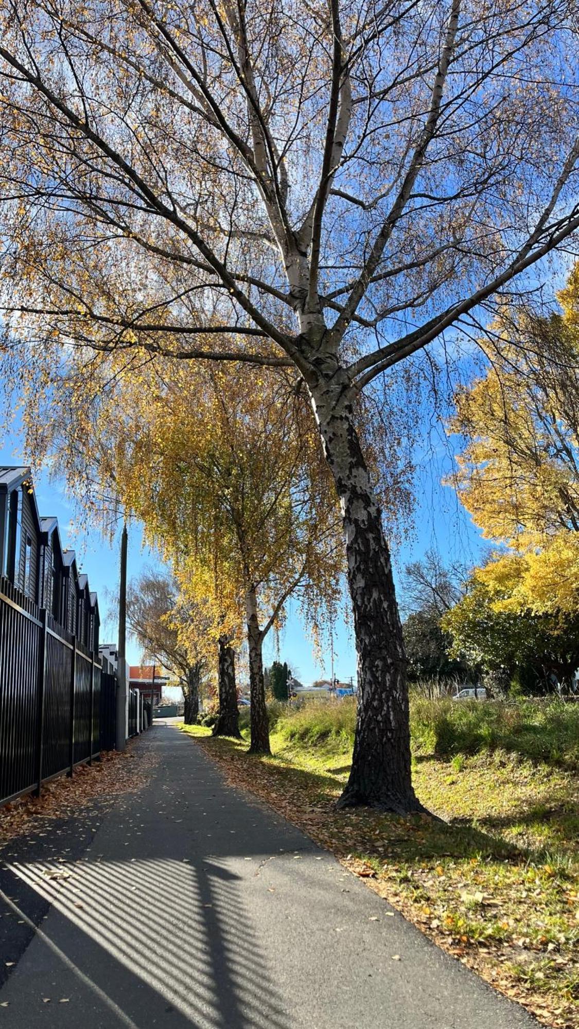 Luxury 2 Bedroom By St James Park Christchurch Exteriör bild